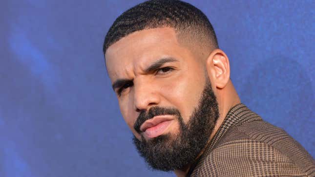 Drake's Unattractive $395,000 Mattress Is Made of Horsehair, Of Course