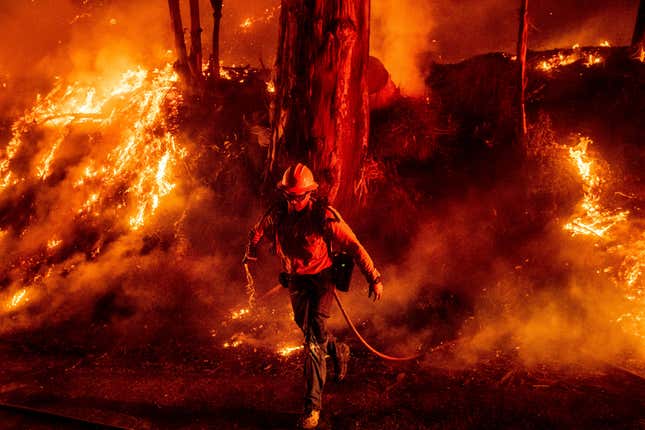 It's Great That Politicians Are Fighting About California Wildfires On Twitter