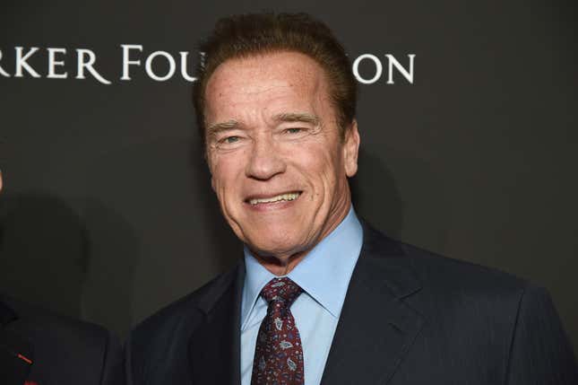 Arnold Schwarzenegger Wants to Be in Charge