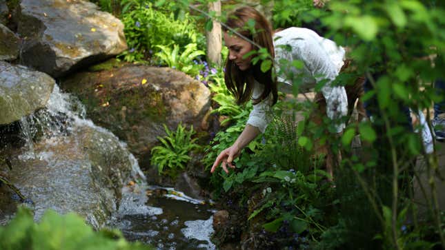 Here's Kate Middleton by a Babbling Brook
