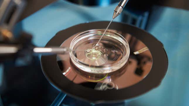 Fertility Clinics Cautiously Plan to Expand Services, Against Coronavirus Concerns
