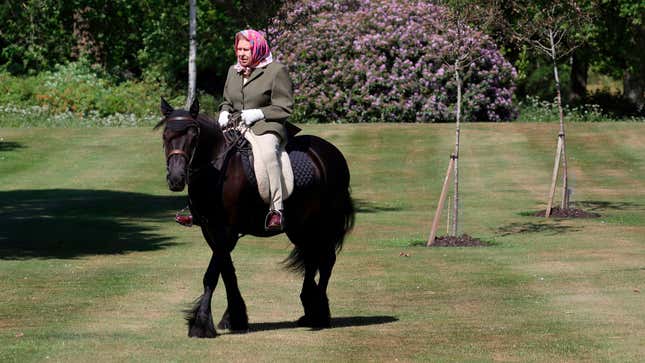 Meanwhile, the Queen Rode a Pony
