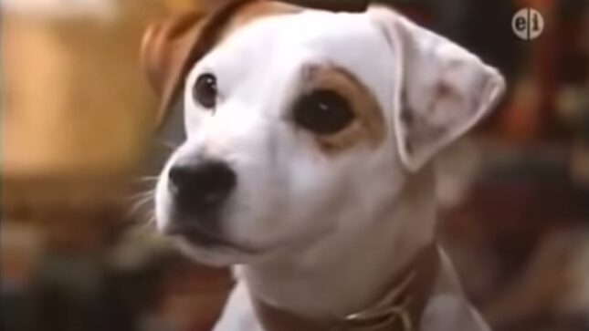 Put Some Respect on Wishbone's Name