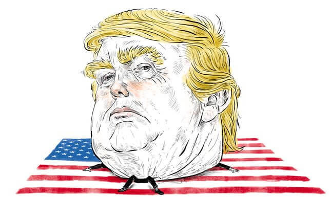 Donald Trump Has Been Elected President of the United States 