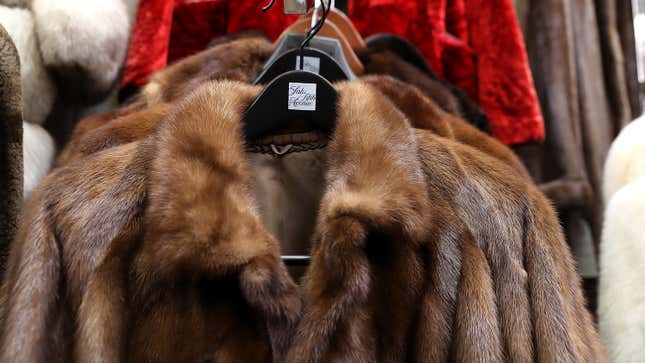 California Bans Fur