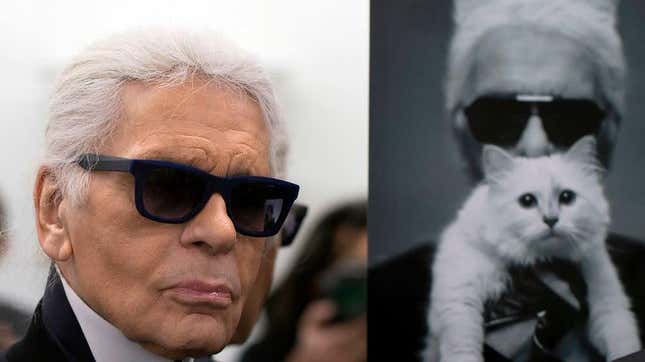Karl Lagerfeld's Cat Choupette is Surely Richer Than You