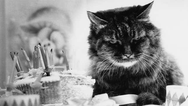 Your Birthday Horror Stories