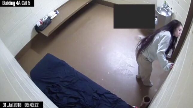 Woman Who Gave Birth Alone In a Jail Cell Alleges Her Cries For Help Were Ignored For Hours