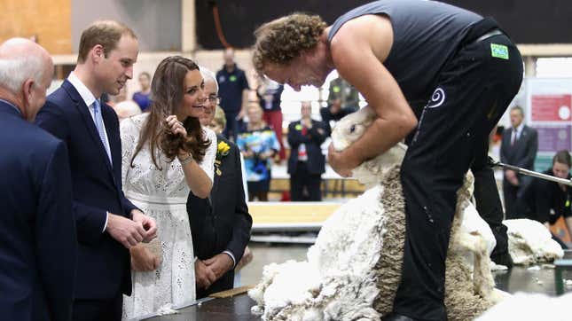 Shouldn't This Sheep Shorn by the Duchess of Cambridge Be Screaming Like a Human?