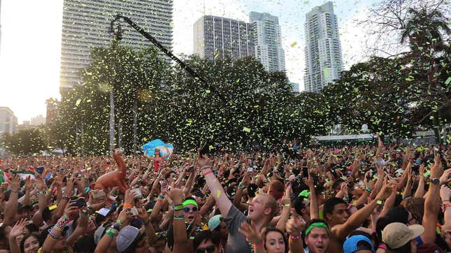 Miami's Huge EDM Festival Stressed the Hell Out of the Poor Fish