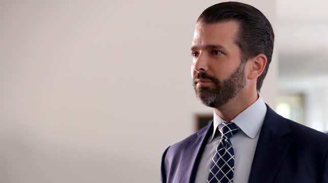 Don Jr. Will Not Launch a Failed Bid for Mayor of New York City, After All