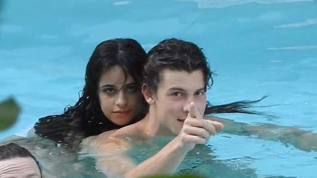 Camila Cabello and Shawn Mendes Are Still Not Flirty