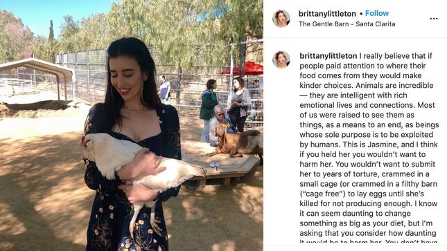 An Influencer Kept a Dog Stolen From an Unhoused Man and Is Refusing to Return Her