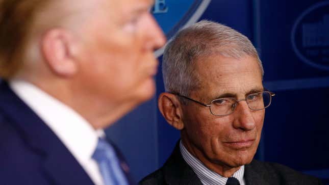 Dr. Fauci Is Doing a Good Job So It's Only a Matter of Time Before Trump Fires Him