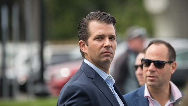 Donald Trump Jr. Would Like His Family to Be the Only Ones Accused of Doing Crimes, Thank You