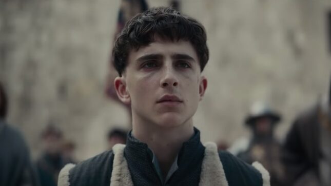 Timothée Chalamet's Medieval Bowl Cut Seems to Have Stressed Him Out