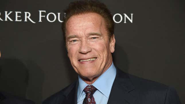 Arnold Schwarzenegger Isn't Pressing Charges Against the Guy Who Dropkicked Him