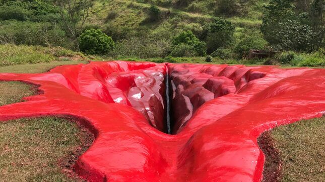 Art Installation Begs the Question Will Men Finally Be Able to Identify a Clitoris on This Gigantic Vagina