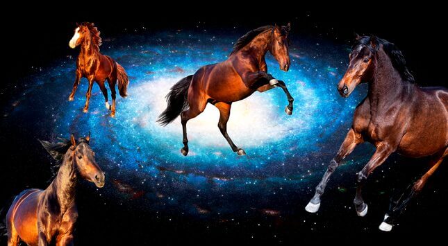 Did You Happen to Notice the New Star Wars Features Horses Galloping Around in Deep Space?