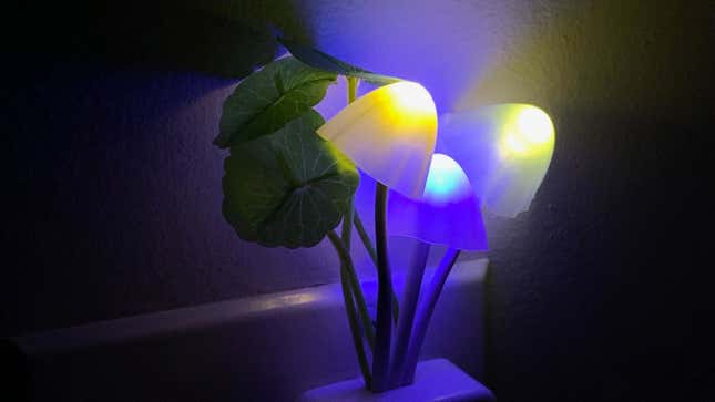 You Don't Need to Be a Baby to Love Nightlights