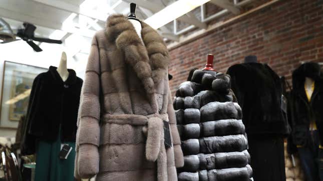 In True Cruella De Vil Fashion, San Francisco Doesn't Want to Give Up Fur