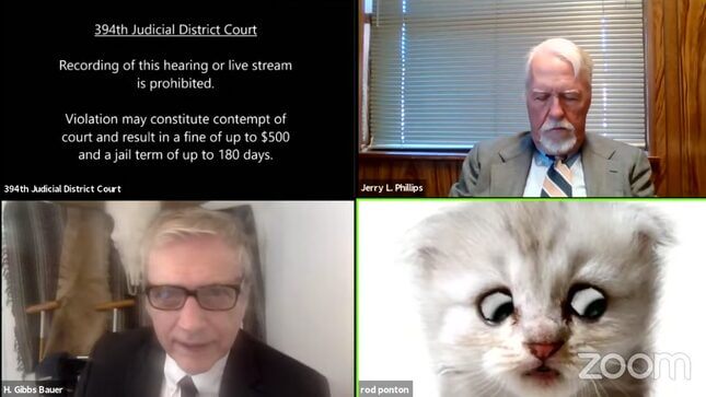 Cat Finally Puts Law Degree to Good Use