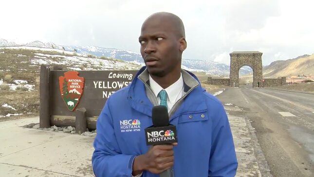 I Can Relate to This Black Reporter Getting the Fuck Away From a Herd of Bison