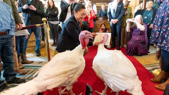 Is One of These Turkeys Named Rudy Giuliani?