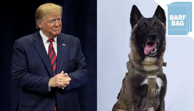 The President Has Never Met a Dog