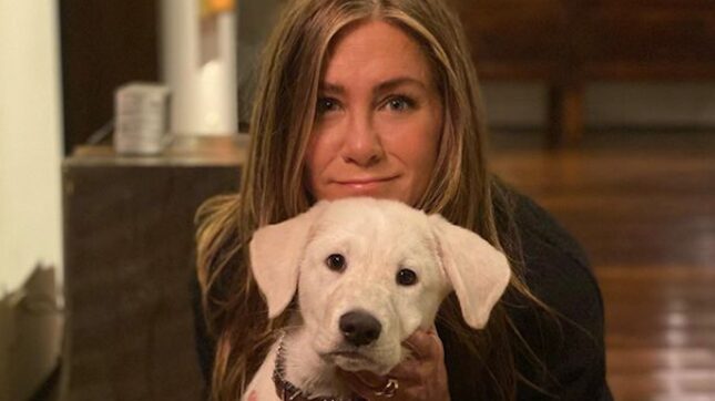 All the Celebrities Who Spent Thanksgiving With Their Dogs