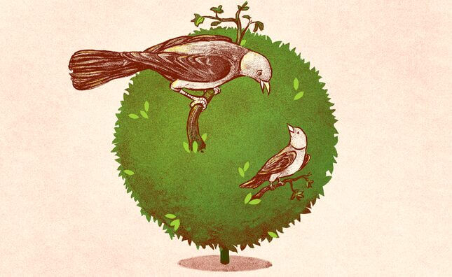 The Birds and the Business: A Mother and Daughter Talk About Sex 
