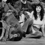 Saturday Night Social: Wait Is Kate Bush Barking on 'Hounds of Love'