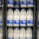 Milk Is Really Having a Moment!