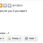 'A Half-Dozen Large Spiders': Extremely Grim Yelp Reviews of Exterminators