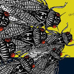 How to Roll Out the Welcome Wagon for Your New Cicada Neighbors