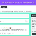 The Mini-Drama That Almost Took Down the Abortion Subreddit
