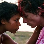 Timothée Chalamet Is a Dirtbag Cannibal in the Delicious 'Bones and All'
