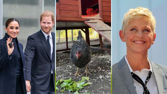 Ellen Degeneres’ Hen Has Gone Home to Roost With the Duke and Duchess of Sussex
