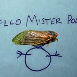 Georgia Moves to Decriminalize Bug Noises Even as Residents Report a Crime Wave of Cicada Horniness