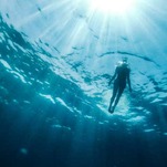 Swimming into the Unknown with Author Bonnie Tsui