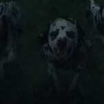 Saturday Night Social: Knocked...Over a Cliff...by Dalmatians...