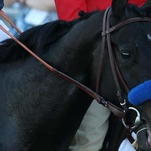 JEZEBEL EXCLUSIVE: Kentucky Derby Winner Medina Spirit Responds to Doping Reports
