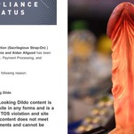 Porn Sites Blame Mastercard for Crackdown on Non-Human Dildos