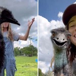 Yes, I Will Explain the Lesbian Farmer Emu Flu Drama to You
