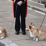 Royal Corgis Update: They're Now Getting Visits From the Queen's Ghost