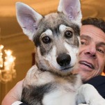 Alleged Sexual Harasser Abandons Dog