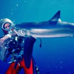 The Woman Who Played With Sharks and Lived To Tell About It (Of Course She Did)