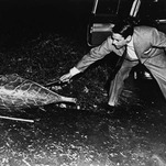 Jezebel Watches 'Invasion of the Body Snatchers': The 1956 Sci-Fi Horror About Seedpods and Political Paranoia