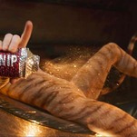 Cats May Have a 10th Life as a Cult Classic