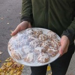 The Lemon Cake Male Objectification Experiment